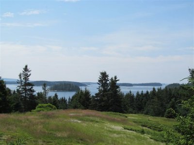 Stonington Weekend, July 2013