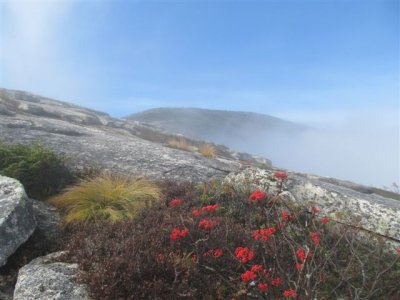 IMG_9711.JPG