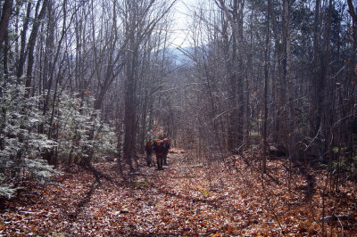 DSC00011.jpg