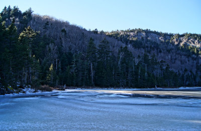 DSC00021.jpg