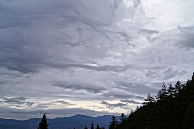 DSC00075.jpg
