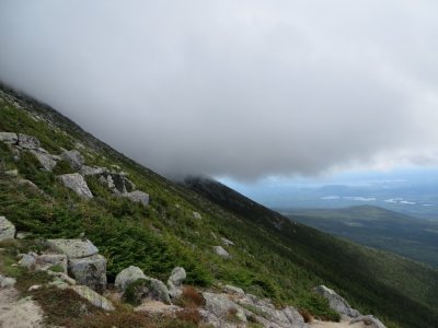 IMG_5049.jpg