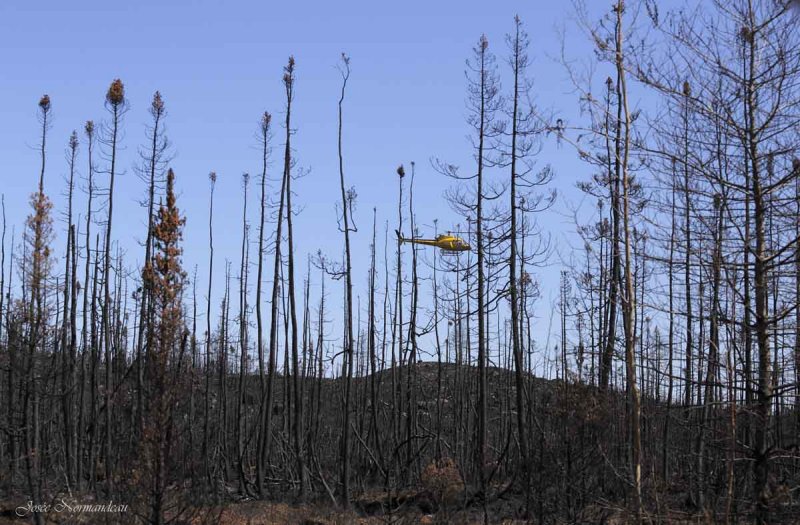 feu de foret a Baie-Johan-Beetz2 1326.jpg