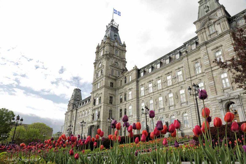 parlement2 0642.jpg