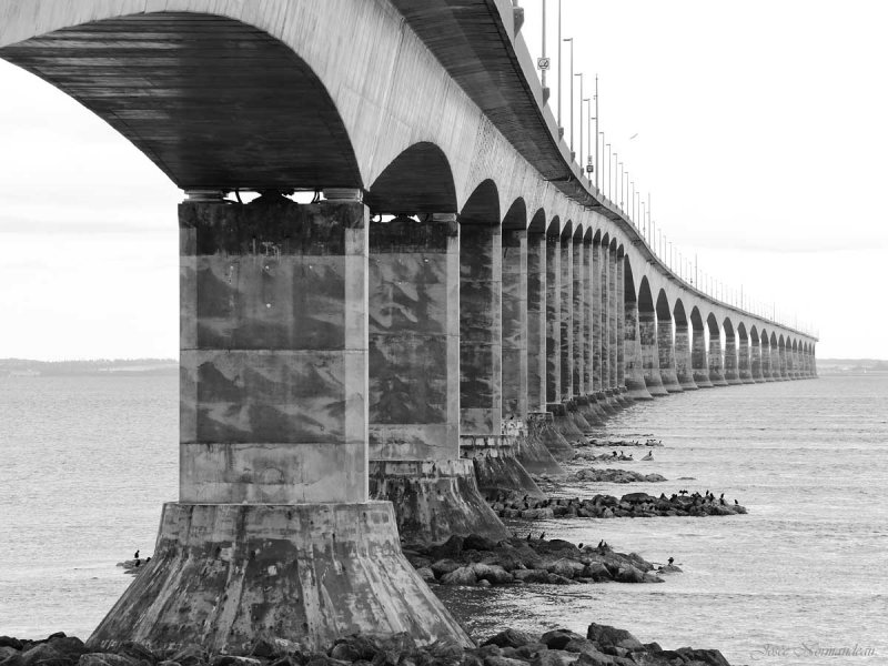 pont de la confederationNB2 2673.jpg