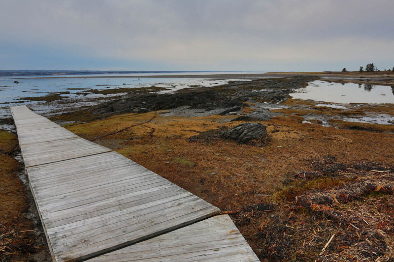 Ile aux Basques2 4938.jpg