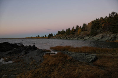 ile aux basques2 3194.jpg