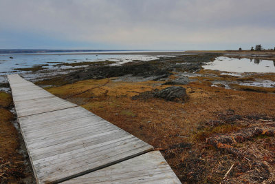 ile_aux_basques