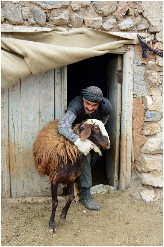 sheep farmer 