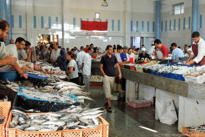 Tangier fish market