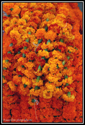 marigolds at Pashupatinath