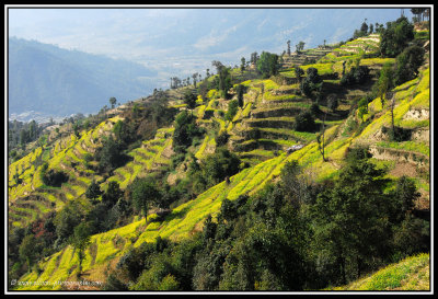 Kathmandu Valley