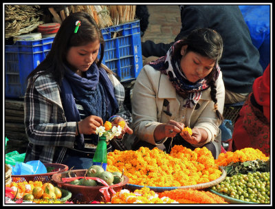 making marigold garlands for temple offerings