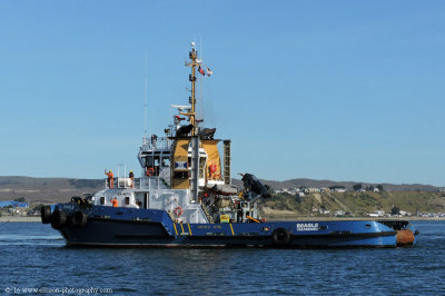 Beagle, one of the assisting tugs