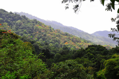 Trinidad