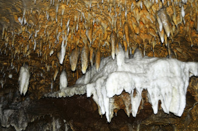 Harrison's Cave Barbados