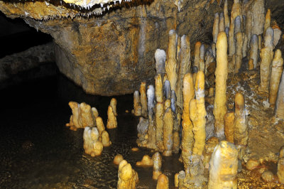 Harrison's Cave Barbados