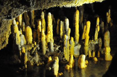 Harrison's Cave Barbados