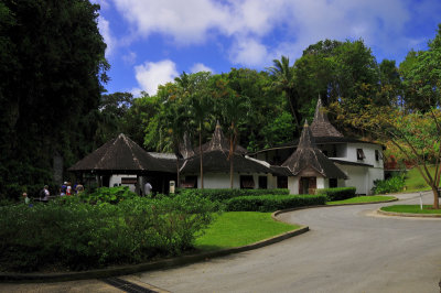 Harrison's Cave Barbados