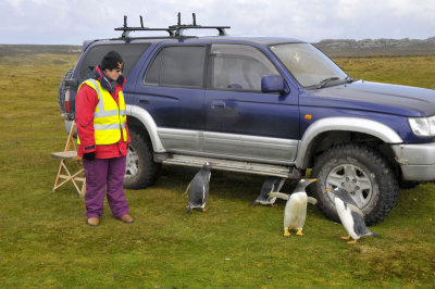 Falkland Islands