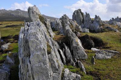 Falkland Islands