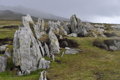 Limestone outcrops