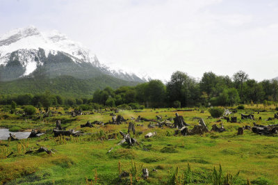 The valley where convicts logged timber