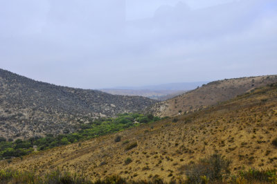 Arid areas