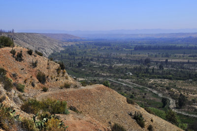 Verdant valley