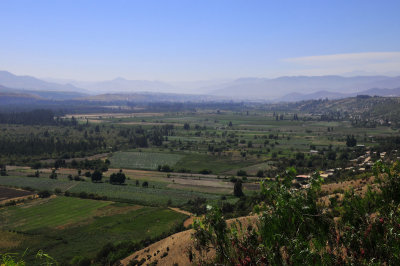 Verdant valley