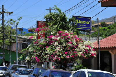 Nicaragua