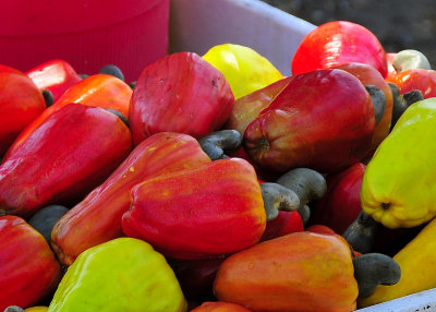 at the market