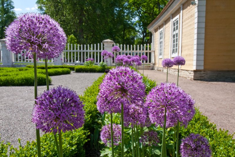 Lamse Mansion, Estonia