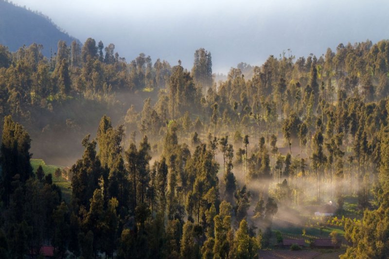 Climbing Mt. Bromo
