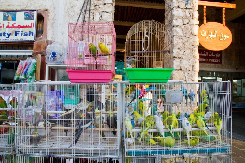Souq Waqif