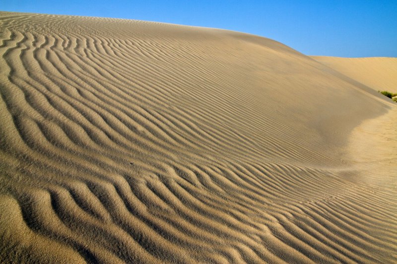 In the Desert