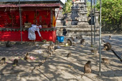 Monkey Temple, Pemuteran
