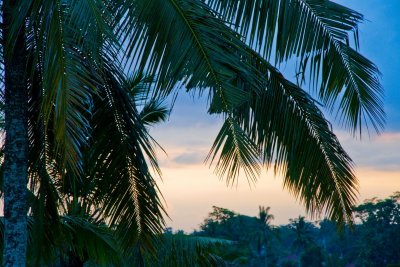 Sundown, Ubud