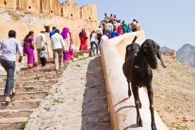 Amber Fort, Jaipur