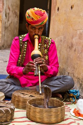 Snake Charmer at Amber Fort, Jaipur