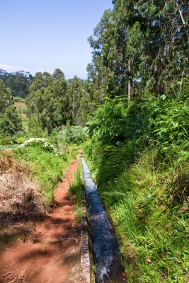 Levada do Rei