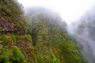 Calderairo Verde