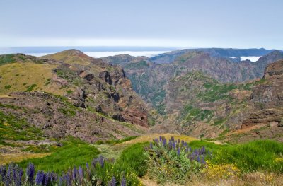 On the way from Pico Ruivo to Pico Aeirio