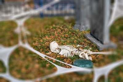 DSCF7533.jpg