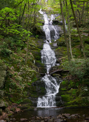 Delaware Water Gap Area