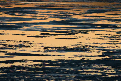 Icy water at sunset