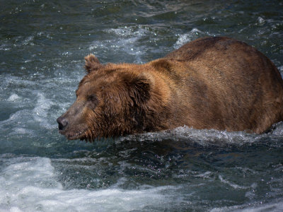 Katmai National Park, Alaska