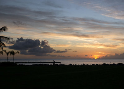 Nevis