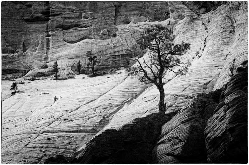 silhouette on the West Rim trail