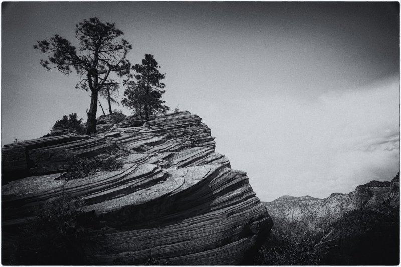 on the West Rim trail